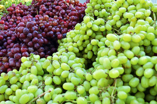 A Napfény Íze: A Magyar Szőlő Titka és a Frissesség Garanciája
