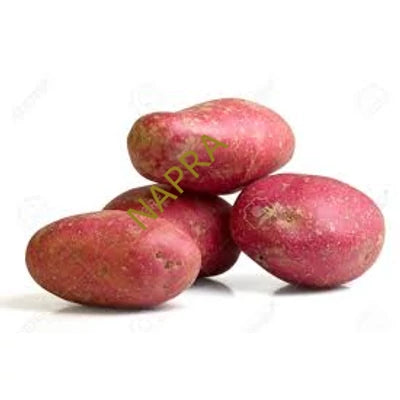 Piros burgonya BIO (kg)